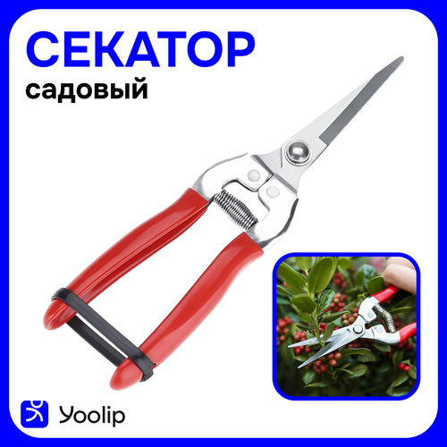 Секатор садовый профессиональный, Ножницы для цветов, растений