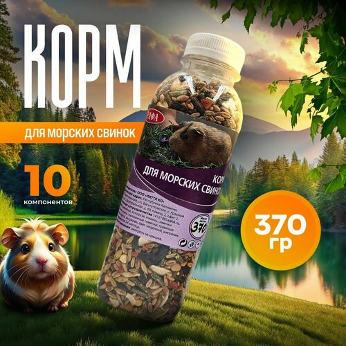 Корм для морских свинок, грызунов, хомяков, крыс и мышей рафа 370 гр