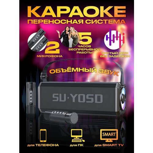 Портативная Bluetooth караоке система черная с 2 микрофонами 4999₽