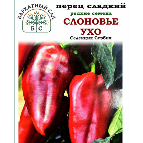 Сладкий перец слоновье УХО, Сербия