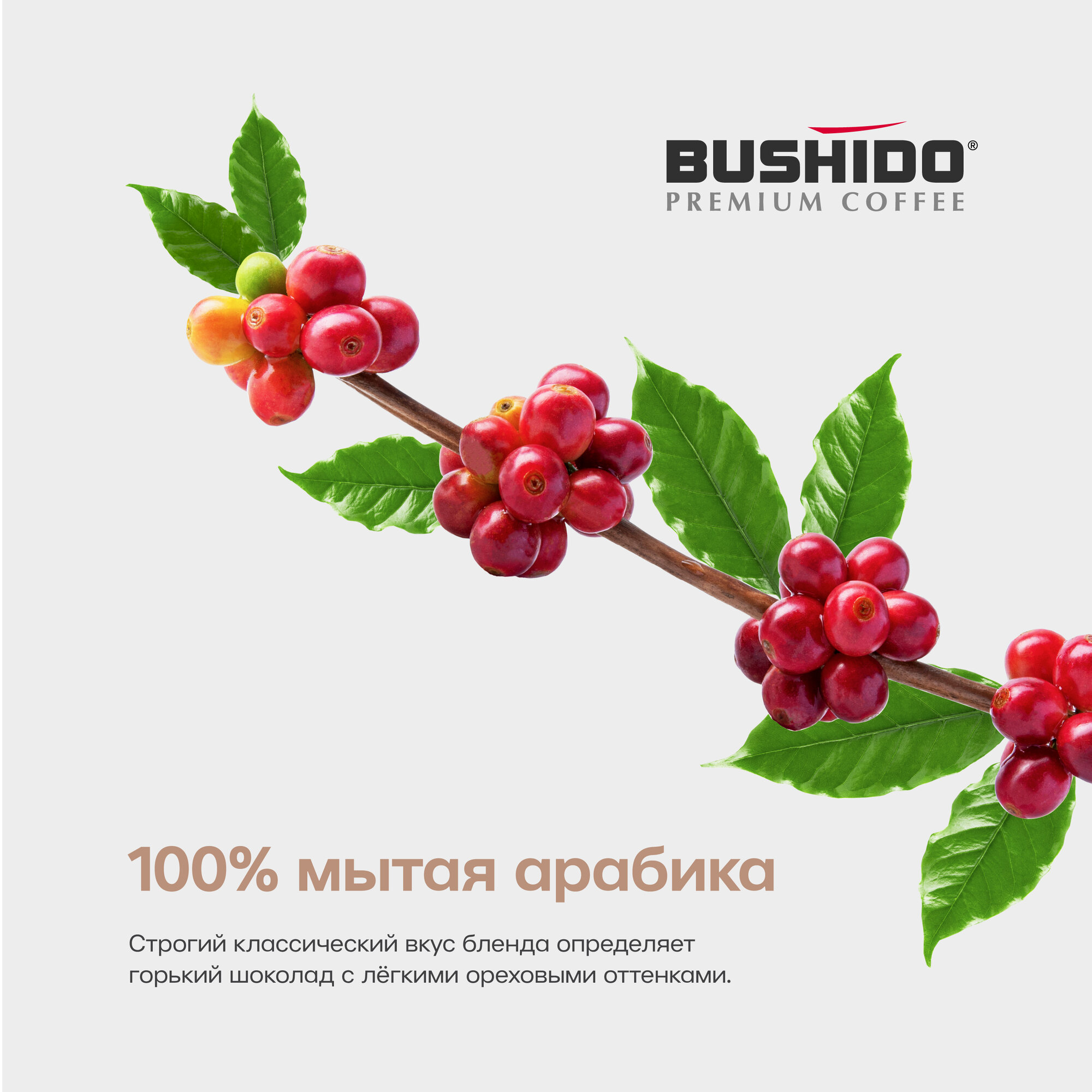 Кофе растворимый Bushido Original, стеклянная банка, 100 г — фото 1