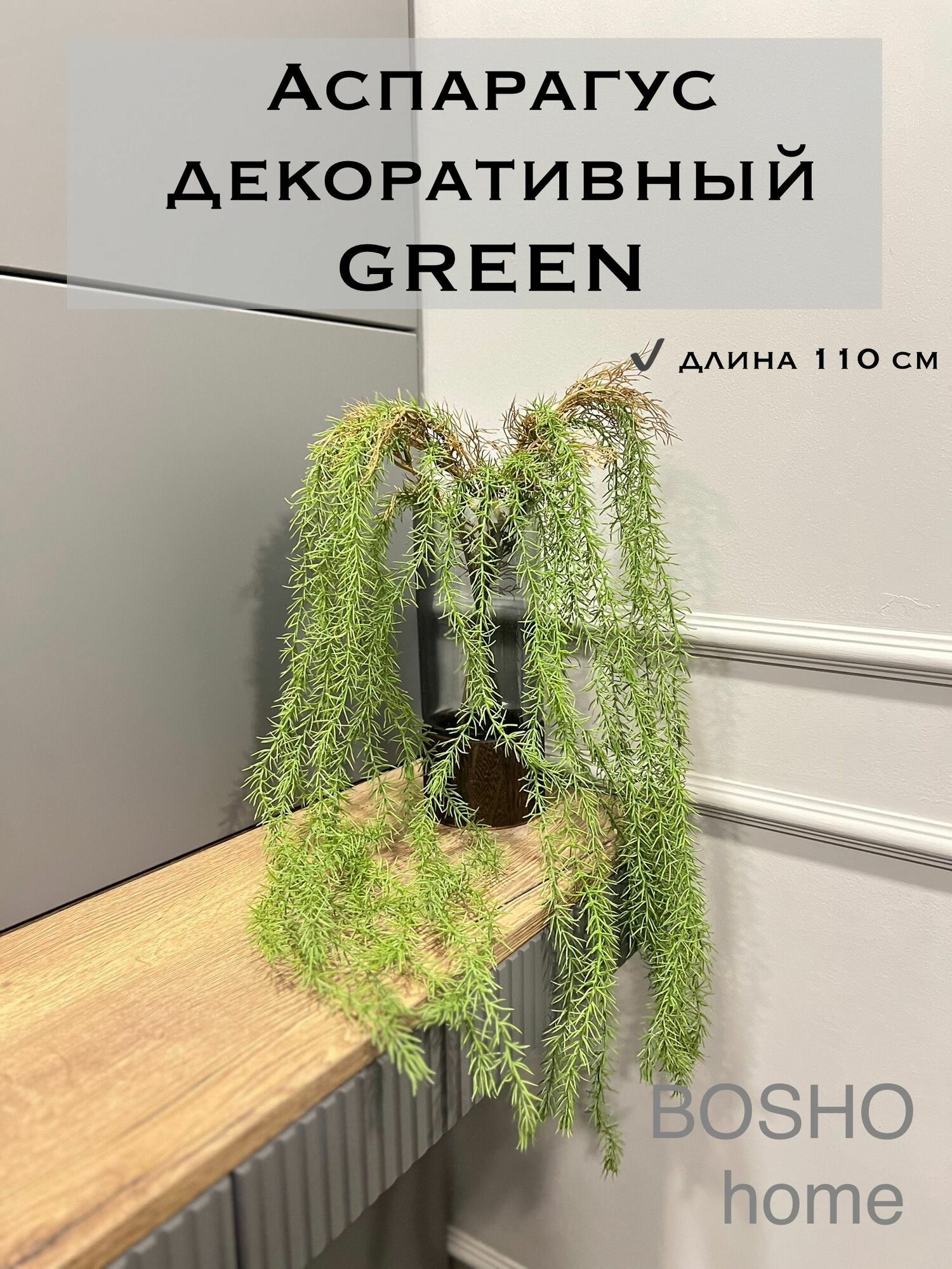 Лиана ампельная декоративная Аспарагус PREMIUM GREEN с корнями длиной 110 см комплект из 2 штук