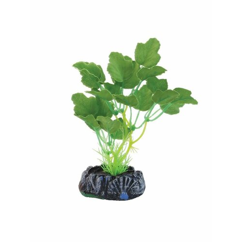 Растение шелковое Laguna Гидрокотила 13см 525₽