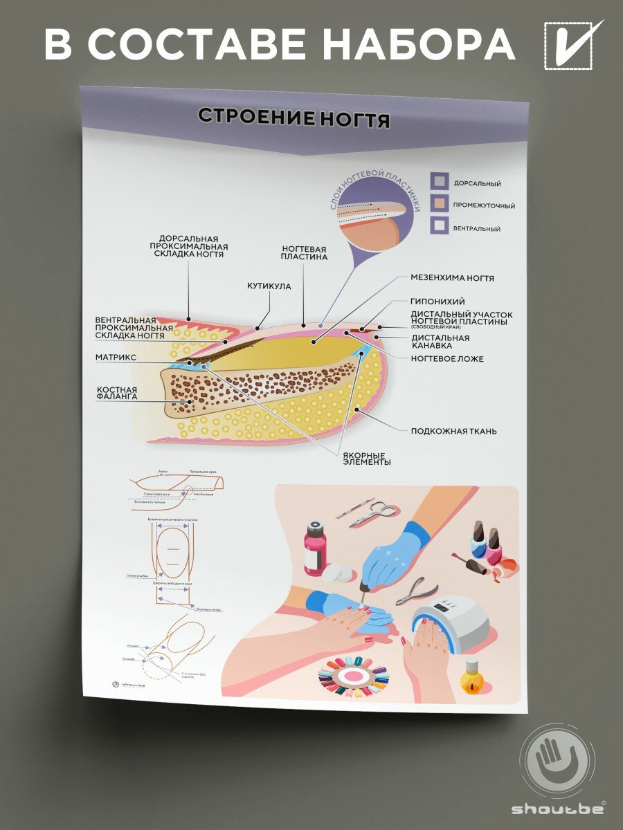 Набор плакатов "Ногти", в наборе 4 шт, формат А3 — фото 1