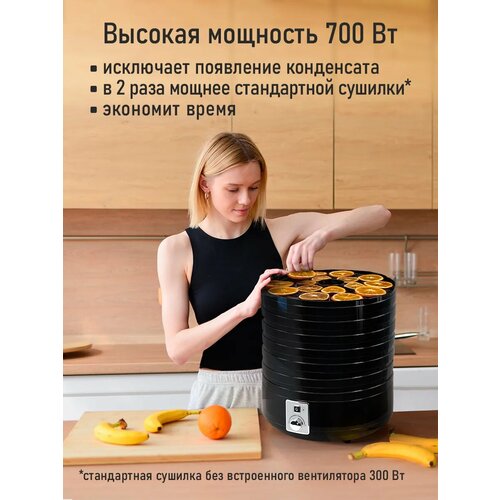 Дегидратор сушилка для овощей электросушилка STINGRAY ST-FD725A 9 поддонов 7 основных 1 для пастилы 1 для ягод черный жемчуг 599000₽