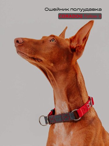 Изображение товара Ошейник-полуудавка, мартингейл, CORADOG Follow it, для средних и крупных собак, красный серый, размер M 35-49 см, ширина 2,5 см