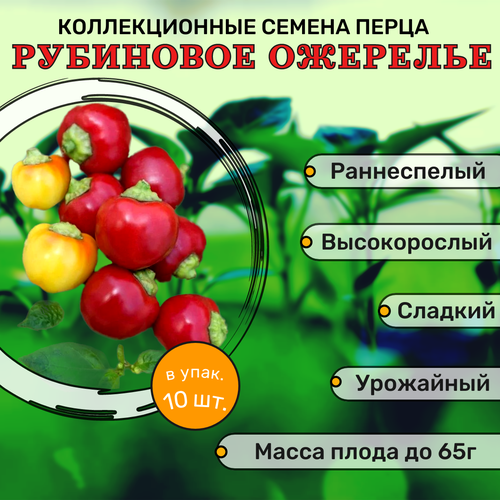 Коллекционные семена перца сладкого Рубиновое ожерелье набор семян сладких перцев гном гномыч клякса рубиновое ожерелье калифорнийское чудо шоколадное