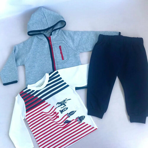 Комплект одежды , размер 9 месяцев, серый, синий