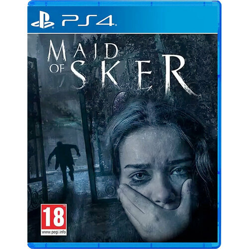 Игра для PlayStation 4 Maid Of Sker РУС СУБ Новый игра для playstation 4 snowrunner рус суб новый