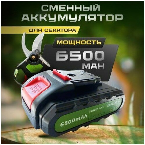 Cменный аккумулятор для электроинструмента для секатора