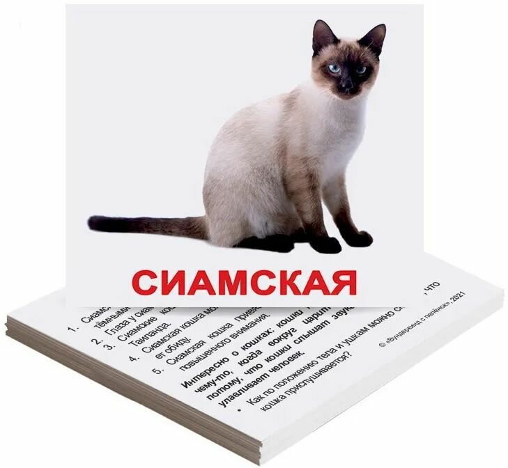 Обучающие карточки Домана Вундеркинд с пеленок "Мини-20. Породы кошек", 20 развивающих карточек 10х8 см