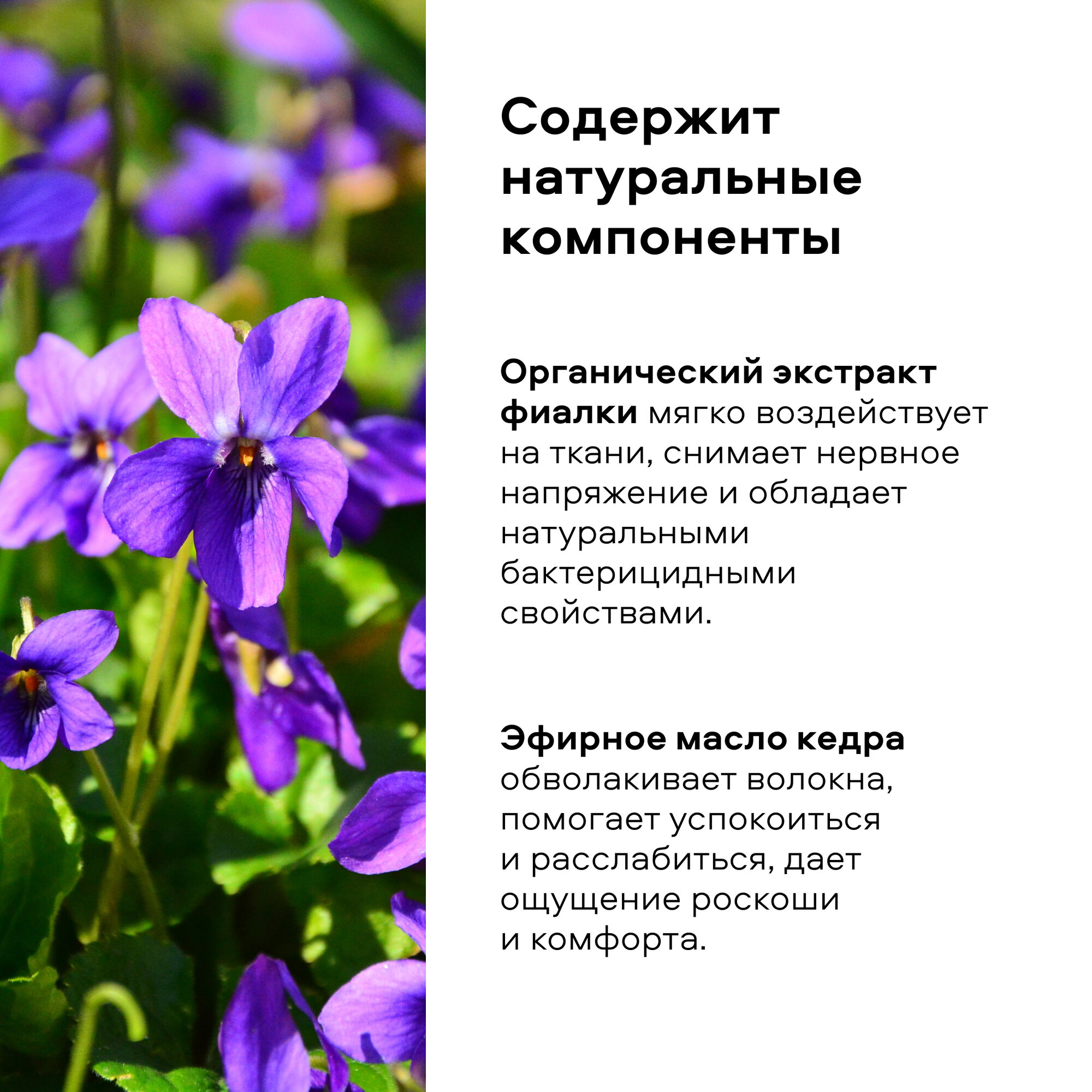 Кондиционер-ополаскиватель для белья Organic People с экстрактом фиалки и маслом кедра 2л Планета Органика - фото №4