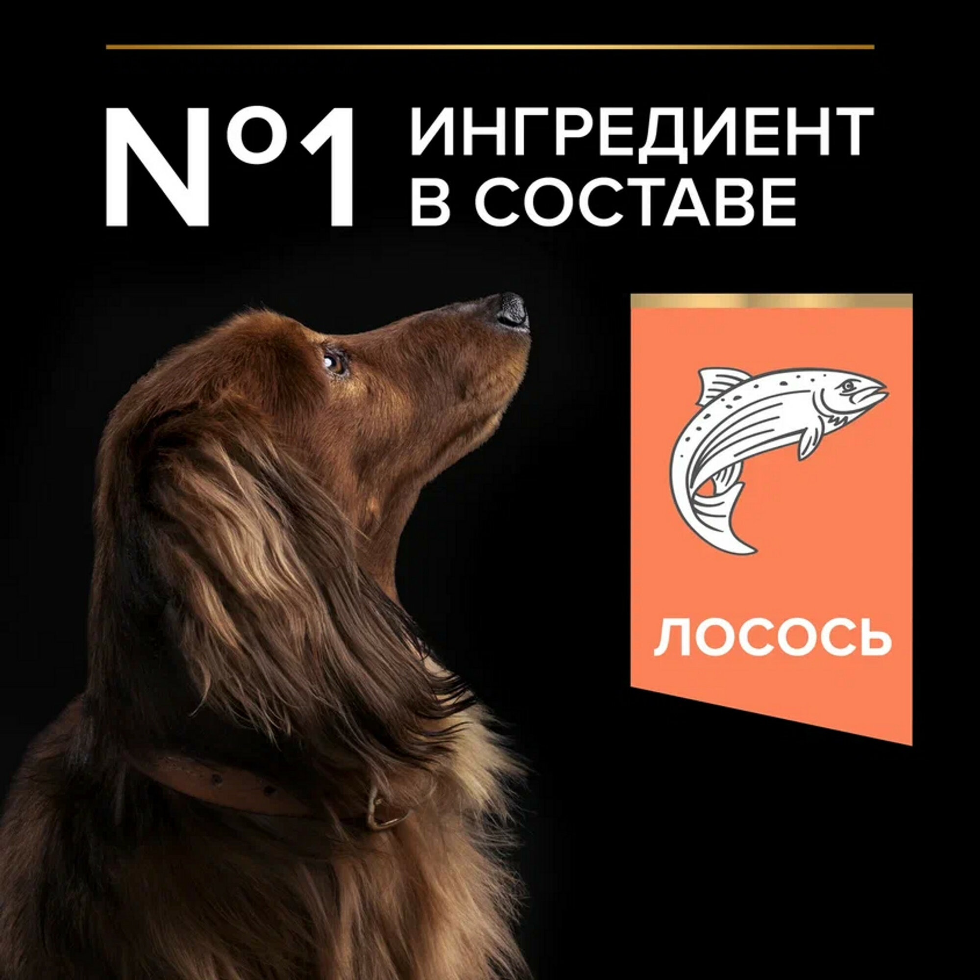 Сухой корм Purina ProPlan для взрослых собак мелких и карликовых пород с чувствительной кожей, лосось, 2,5кг+500гр - фото №20