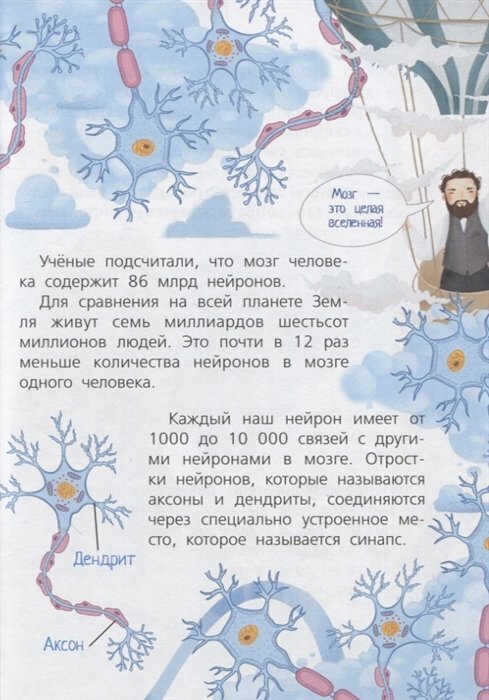 Мозг (Саксон Мари Владимировна) - фото №16