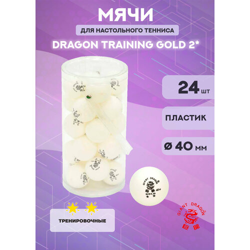 Мячи для настольного тенниса Dragon Training Gold 2* (24 шт, белые) мячи dragon training gold 2 6 шт белые в тубусе