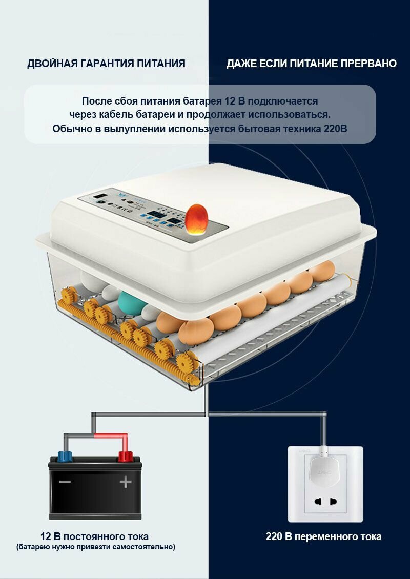 36 яиц, Автоматический интеллектуальный домашний инкубатор для яиц, Регулирование температуры и влажности, овоскопом, автоповоротом, AC220V/DC12V, двойной источник питания