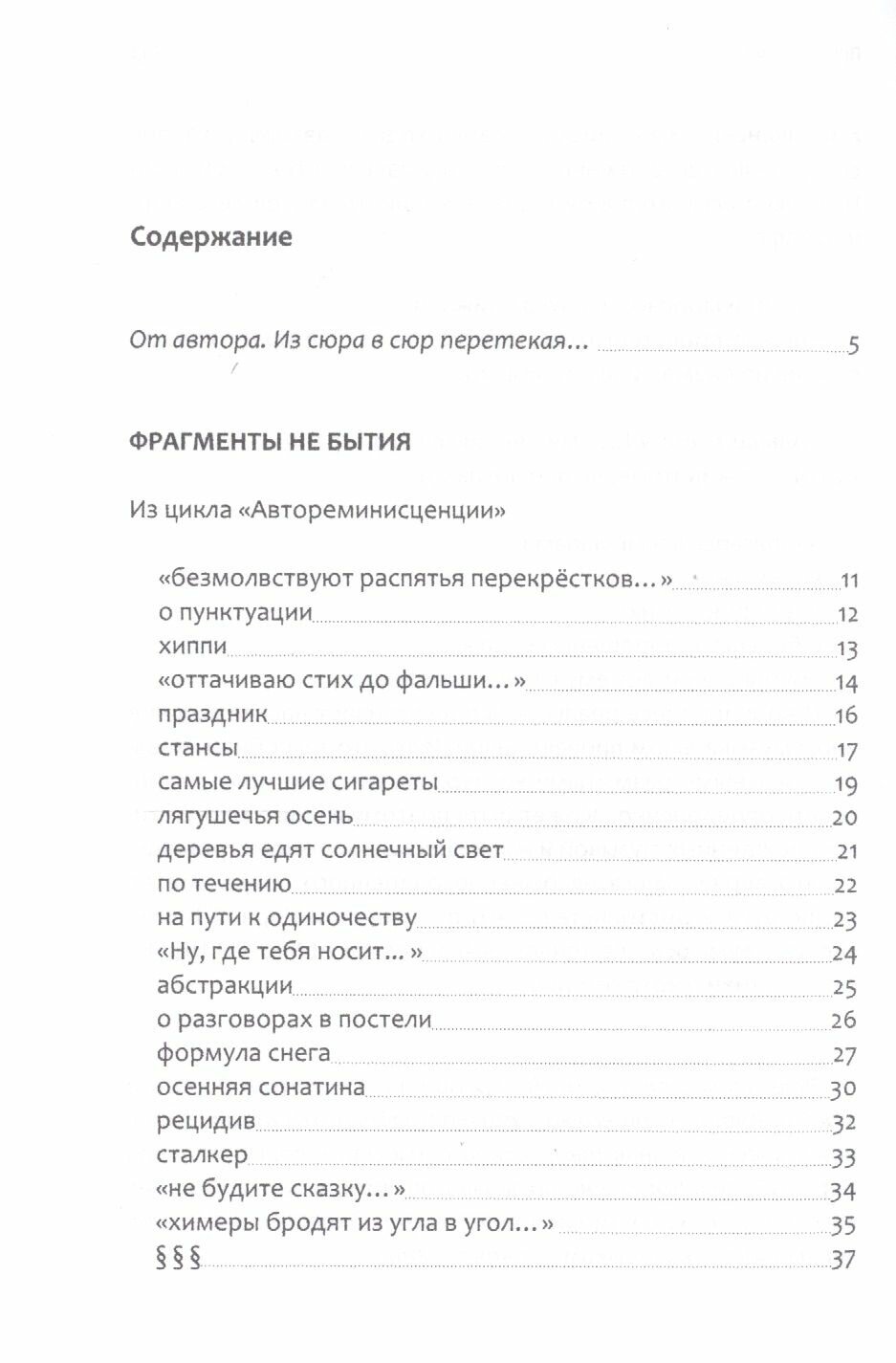 Кто там на дудочке играет (Сафранский Валерий Яковлевич) - фото №5