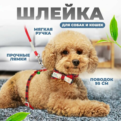 Шлейка для собак и кошек с поводком и ошейником 489₽