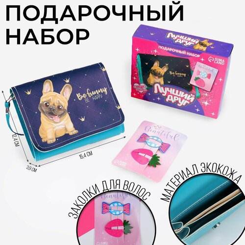 Подарочный набор для девочки «Лучший друг», сумка с заколками, голубой синий