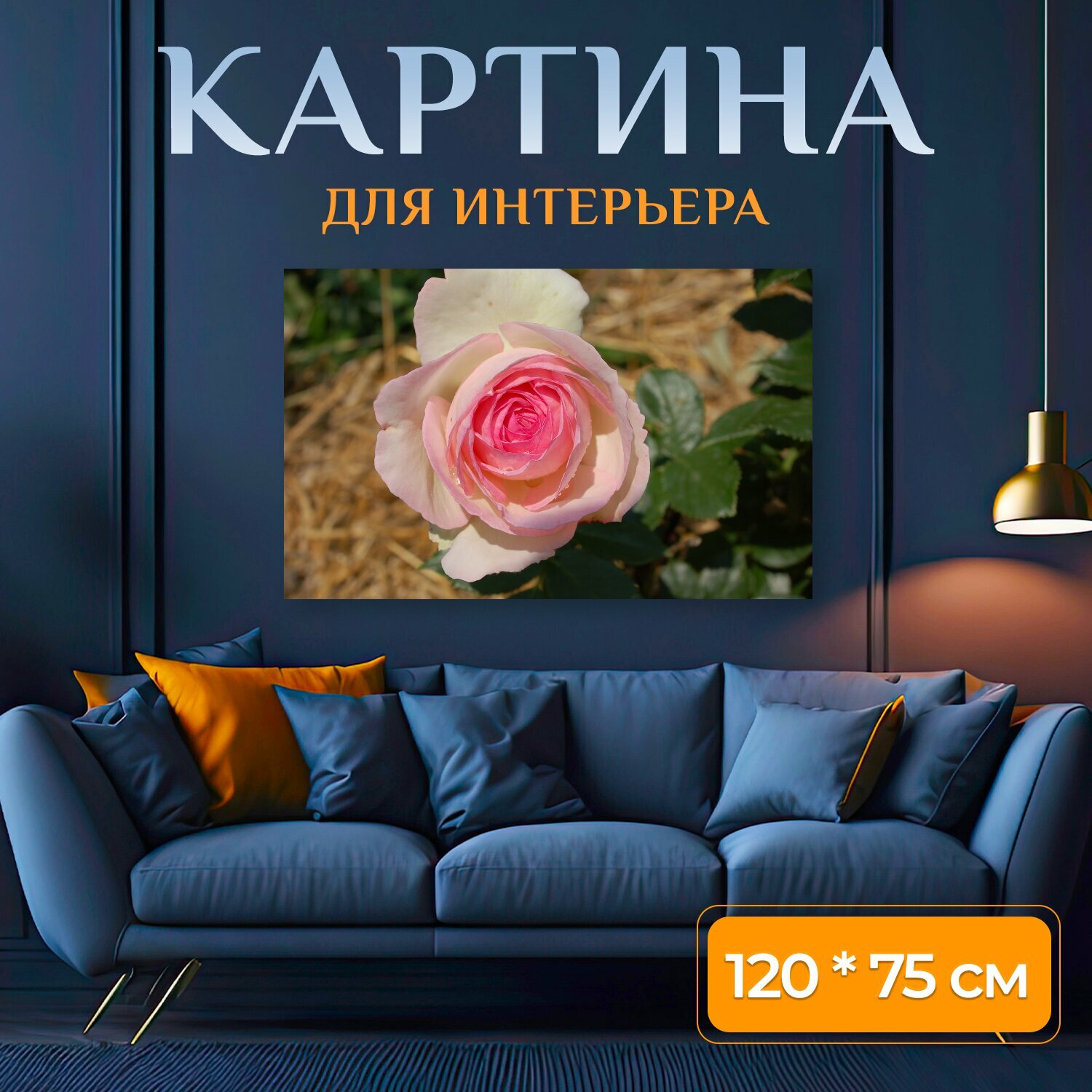 Картина на холсте "Розы, лепестки роз, розовый сад" на подрамнике 120х75 см. для интерьера