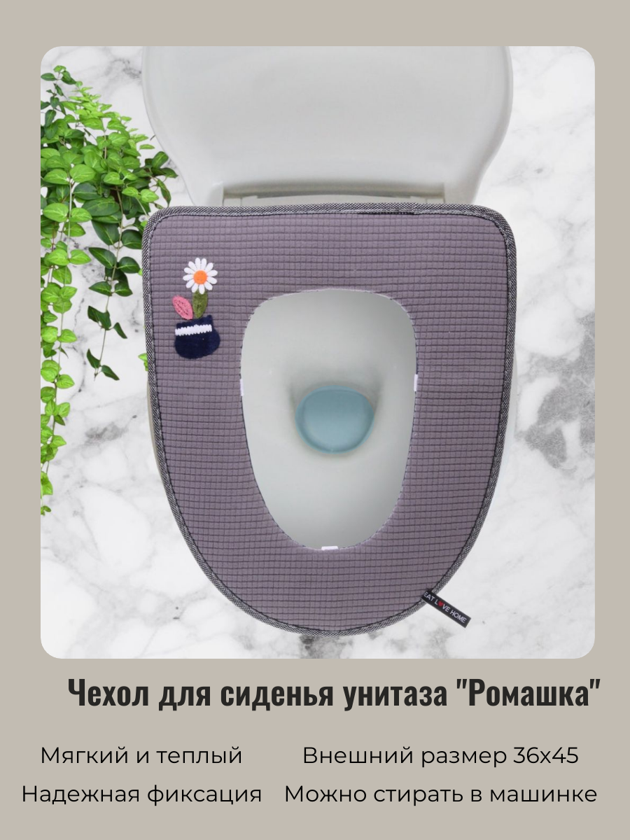 фото Кактус