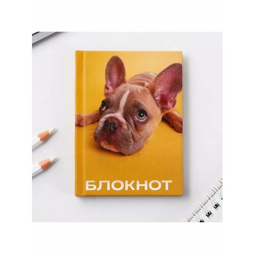Блокноты в твердой обложке А7 64 л Собака 501₽