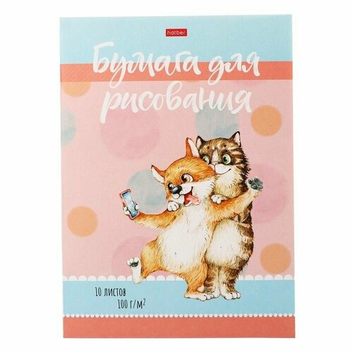 Папка для рисования А4 10 листов 100 гм Hatber Котоселфи тиснение 465₽