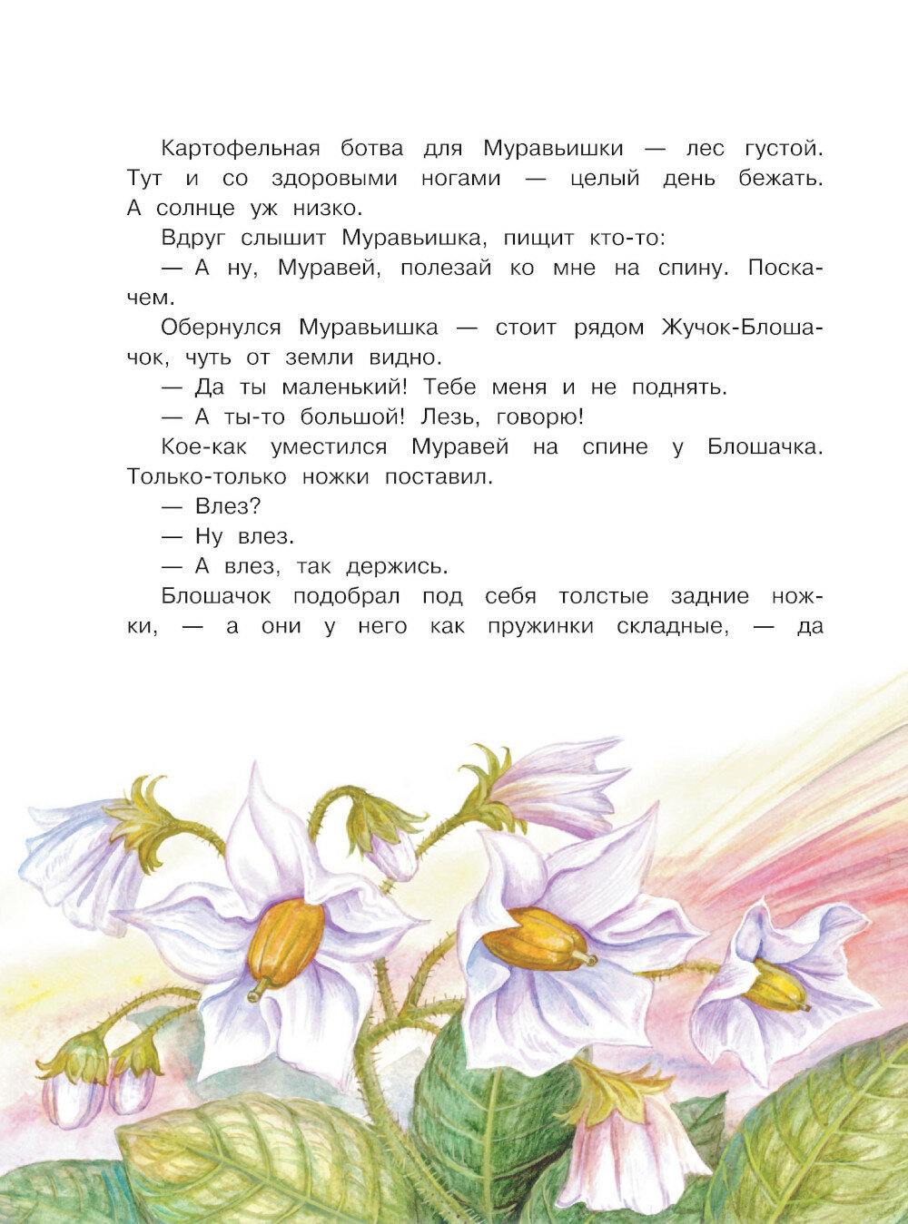 Сказки. К 130-летию писателя (Бианки Виталий Валентинович) - фото №18