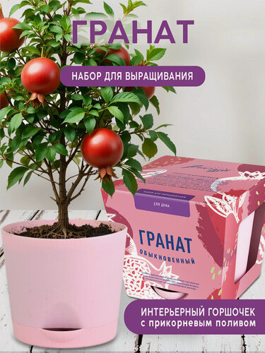 Изображение товара Гранат Набор для выращивания растений от бренда "Тысяча листьев "