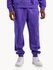 Брюки для мужчин NIKE, Цвет: фиолетовый, Размер: XL INT