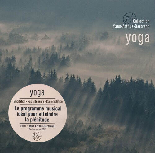 Виниловая пластинка Nicolas Dri, Michael Goldberg, Thierry Noritop - "Yoga" (Wagram Music)