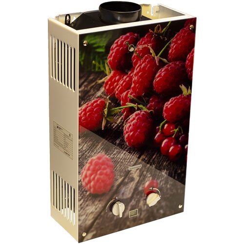 Проточный газовый водонагреватель WertRus 10EG Berry, Рисунок проточный газовый водонагреватель wert 10eg berry