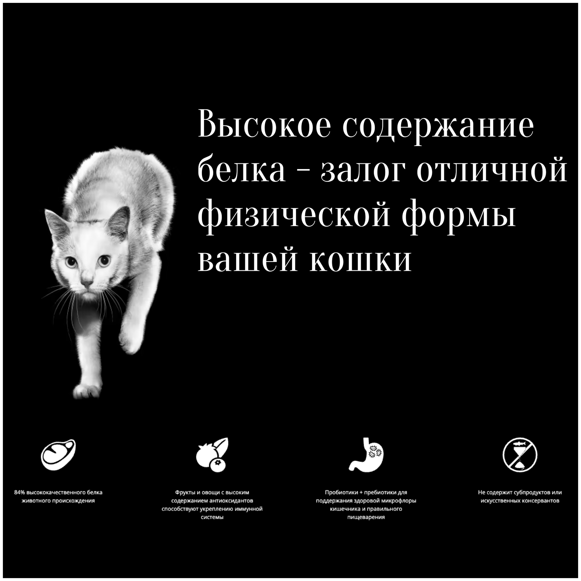 GO! беззерновой корм для котят и кошек с лососем и треской - фотография № 4