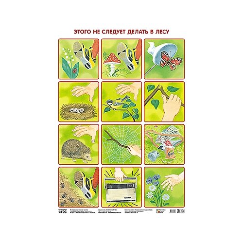 Плакат Мозаика-Синтез Этого не следует делать в лесу, 5 шт. плакат мозаика синтез кому нужны деревья в лесу 5 шт