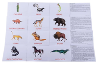Набор карточек Маленький гений Животные Северной Америки 21x15 см 16 шт.