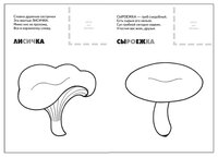 Мозаика-Синтез Назови, раскрась, наклей! Грибы