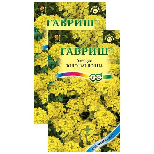 Алиссум скальный Золотая волна (0,1 г), 2 пакета цветы алиссум скальный русский огород золотая волна