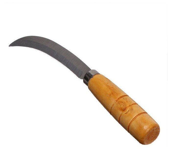 Нож садовый, 18 см, с деревянной ручкой - фотография № 3