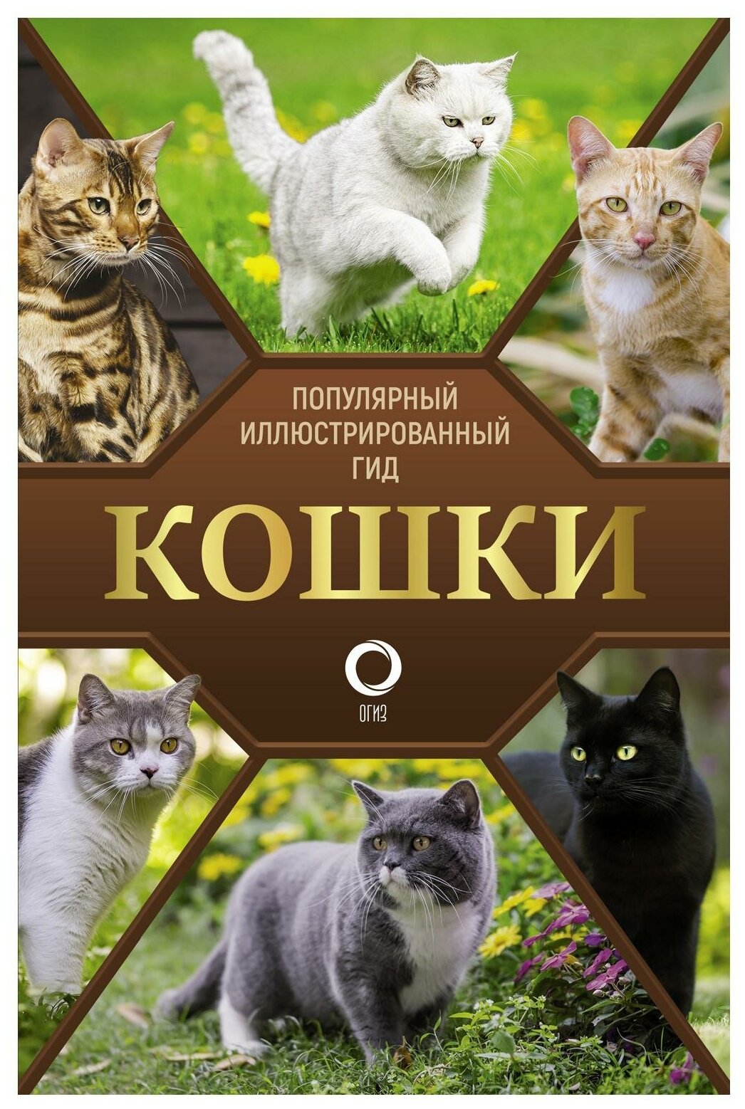 Кошки (Непомнящий Николай Николаевич) - фото №1