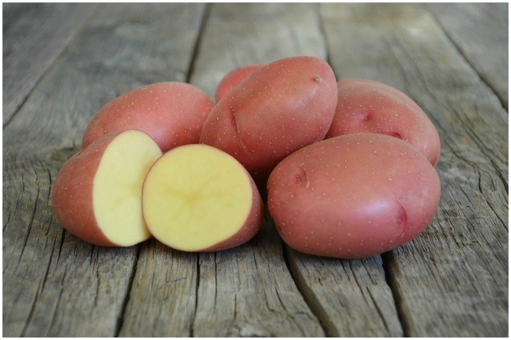 Картофель сорта Беллароза, 2 кг в сетке , класса Люкс, семенной тип селекционный высшего качества с премиальным вкусом, репродукция Супер Элита