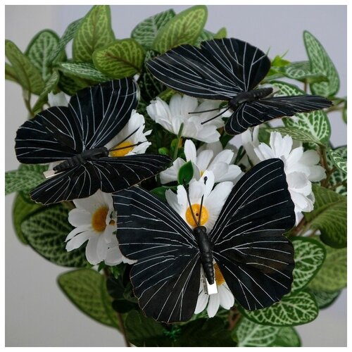 Бабочка для декора и флористики, на прищепке, пластиковая, черная, 1 шт., 12 см. В наборе 3шт.