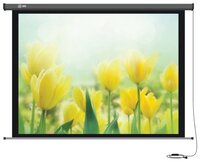 Рулонный матовый белый экран cactus Professional Motoscreen CS-PSPM-183x244