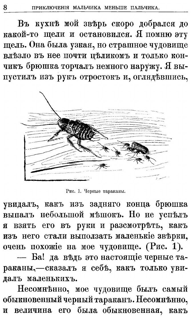 Книга Приключения мальчика меньше пальчика. Из жизни насекомых - фото №6