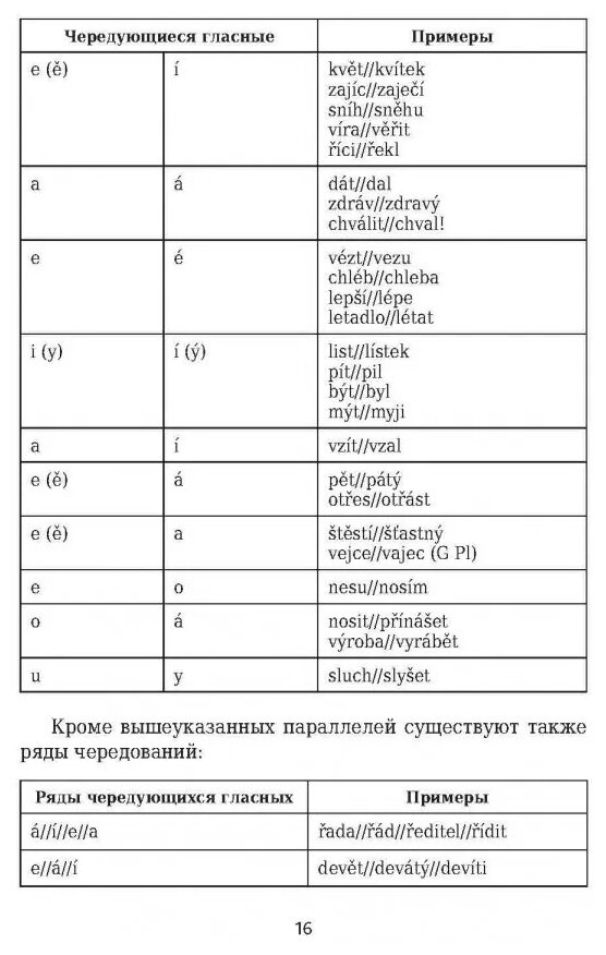 Чешский язык: грамматика в таблицах и схемах - фото №5