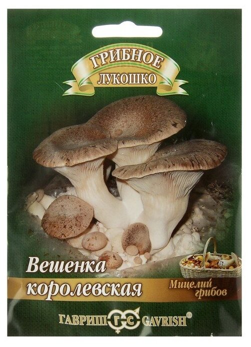 Семена Мицелий "Вешенка Королевская", на древесной палочке, 12 шт. (1шт.)