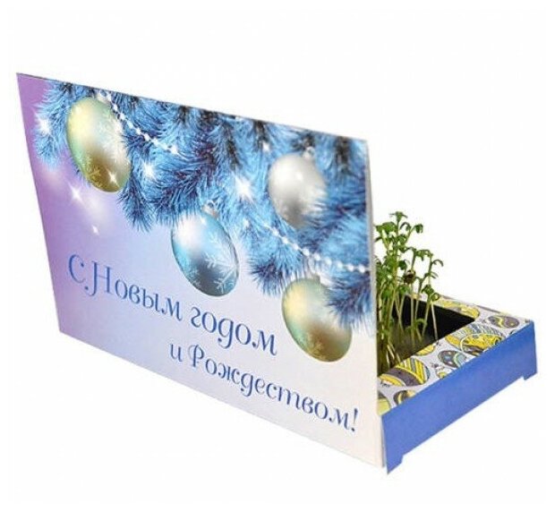 Открытка "С Новым годом" голубая (набор для выращивания)