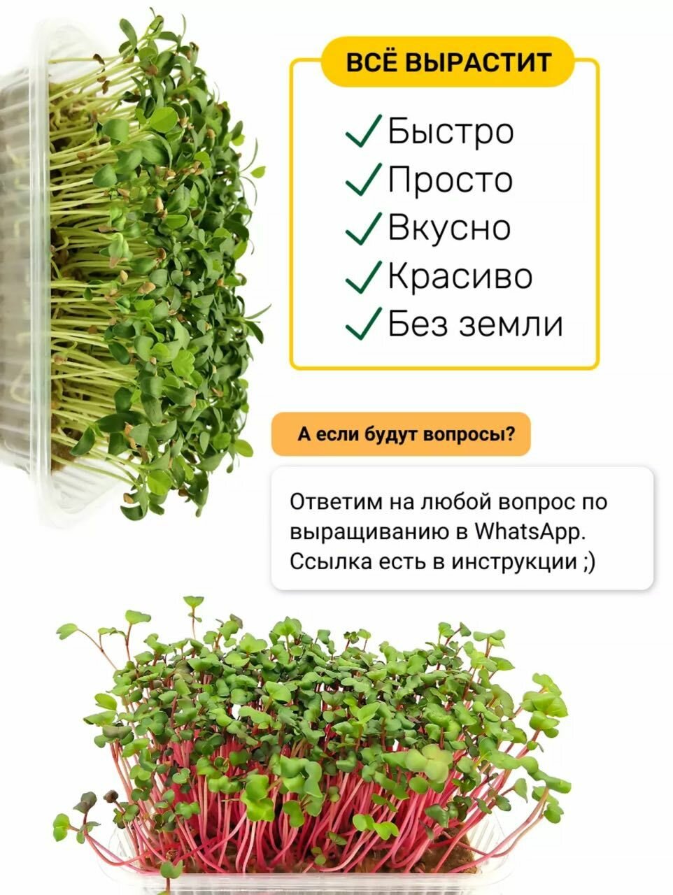 Мегапак 22 пакетика семян микрозелени + двойной лоток — фото 1