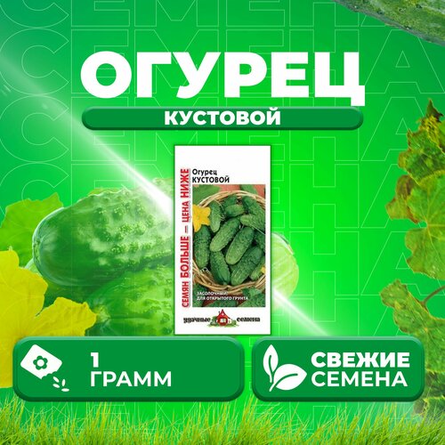 Огурец Кустовой, 1,0г, Удачные семена, Семян больше (1 уп)