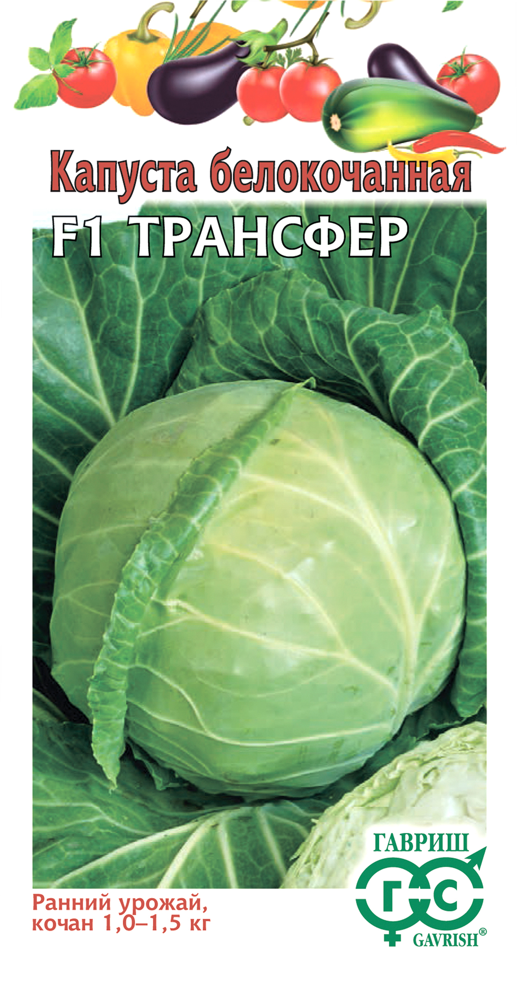 Семена Капуста белокачанная Трансфер F1 10шт Ранние (Гавриш)