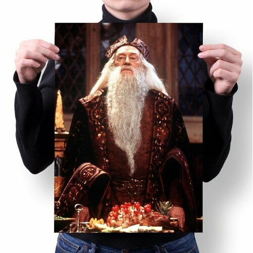 Плакат Harry Potter, Гарри Поттер №9, А4